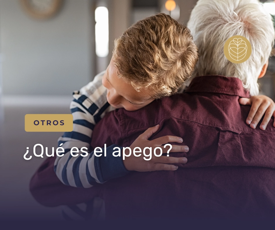 portada del artículo sobre el apego